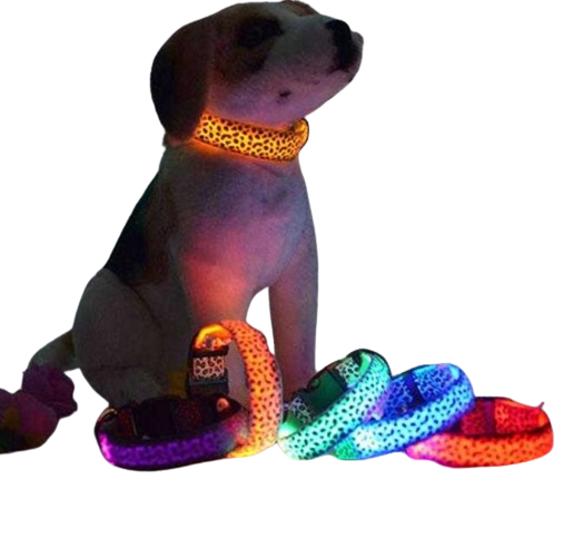Нашийник за кучета с LED осветление - 2,5 см - S/M/L - 550231