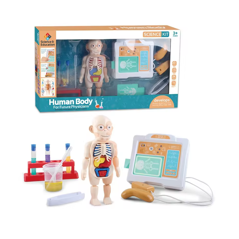Образователна играчка - Човешкото тяло - H326A - 305255